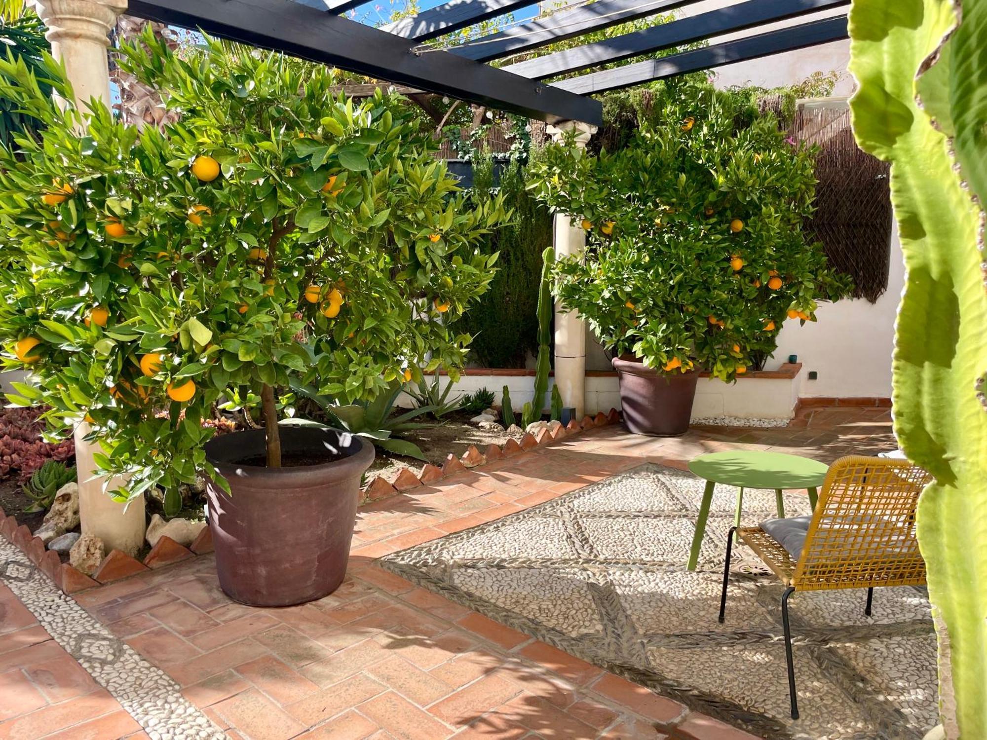 San Miguel B&B Granada Exterior foto